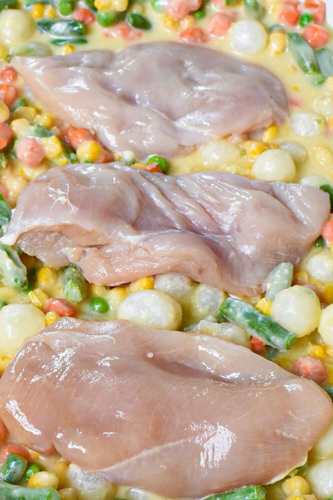 Lazy Crock Pot Creamy Chicken Soup Recipe Hippie