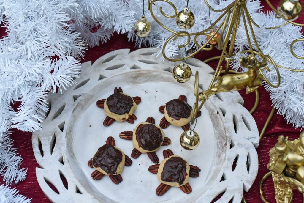 turtle shaped cookies