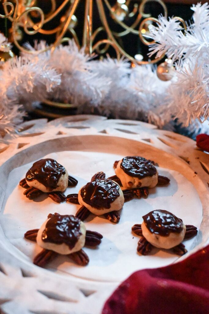 snappy turtle cookies