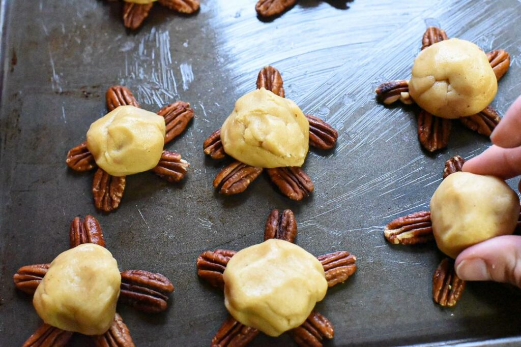 turtle cookies