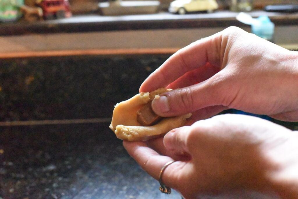 turtle shaped cookies