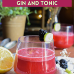 gin recipe pinterest
