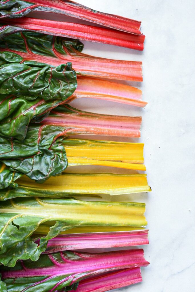 rainbow chard photo