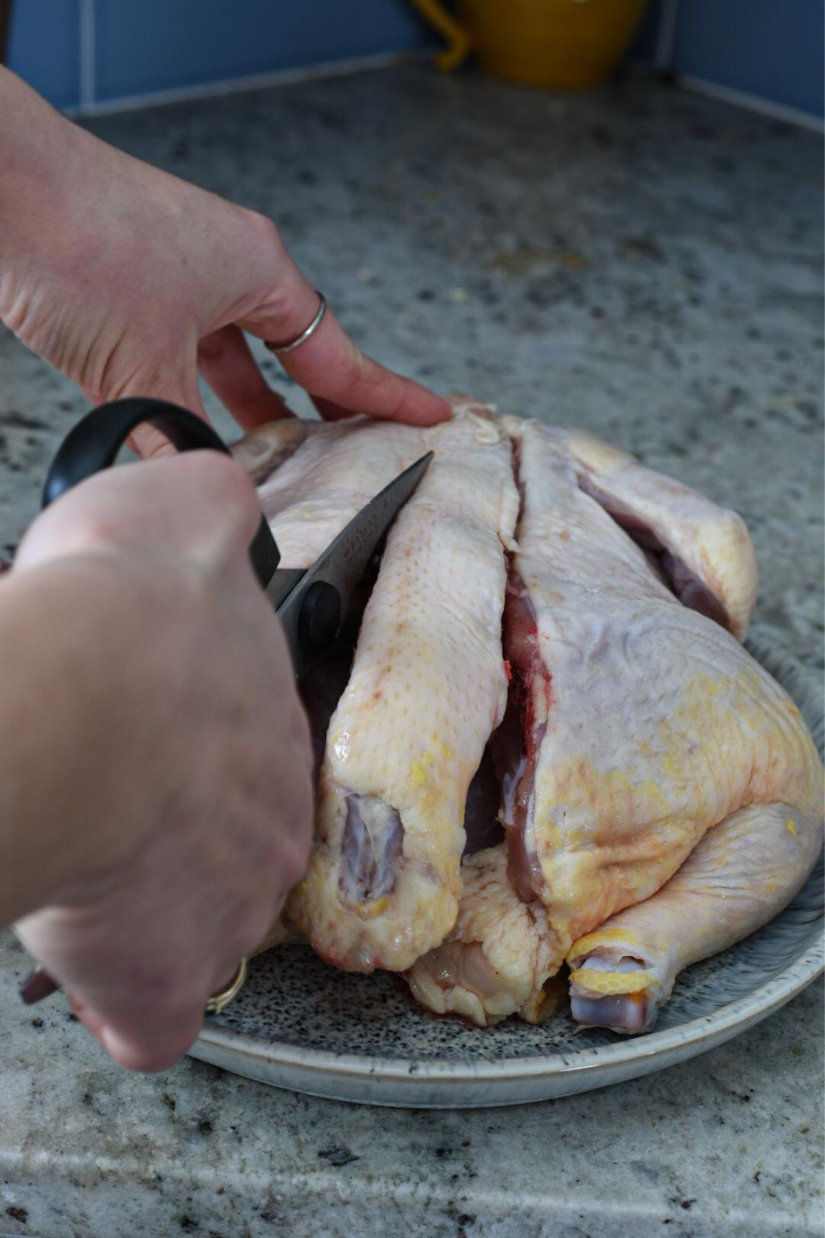A hand holding scissors cutting out the backbone of a whole chicken