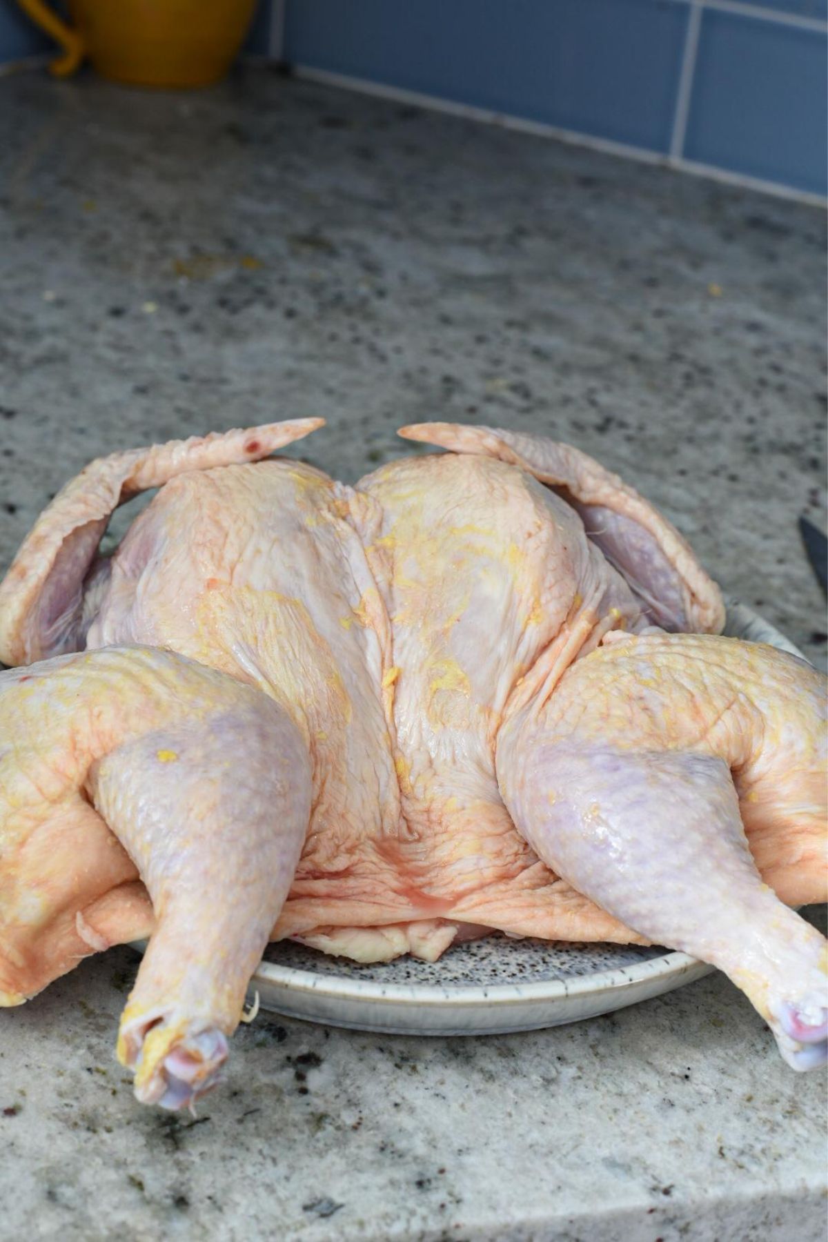 A spatchcocked chicken laying flat on a plate