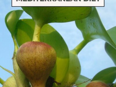 a close up image of a Mankai plant with the text "The Green Mediterranean Diet' over it.