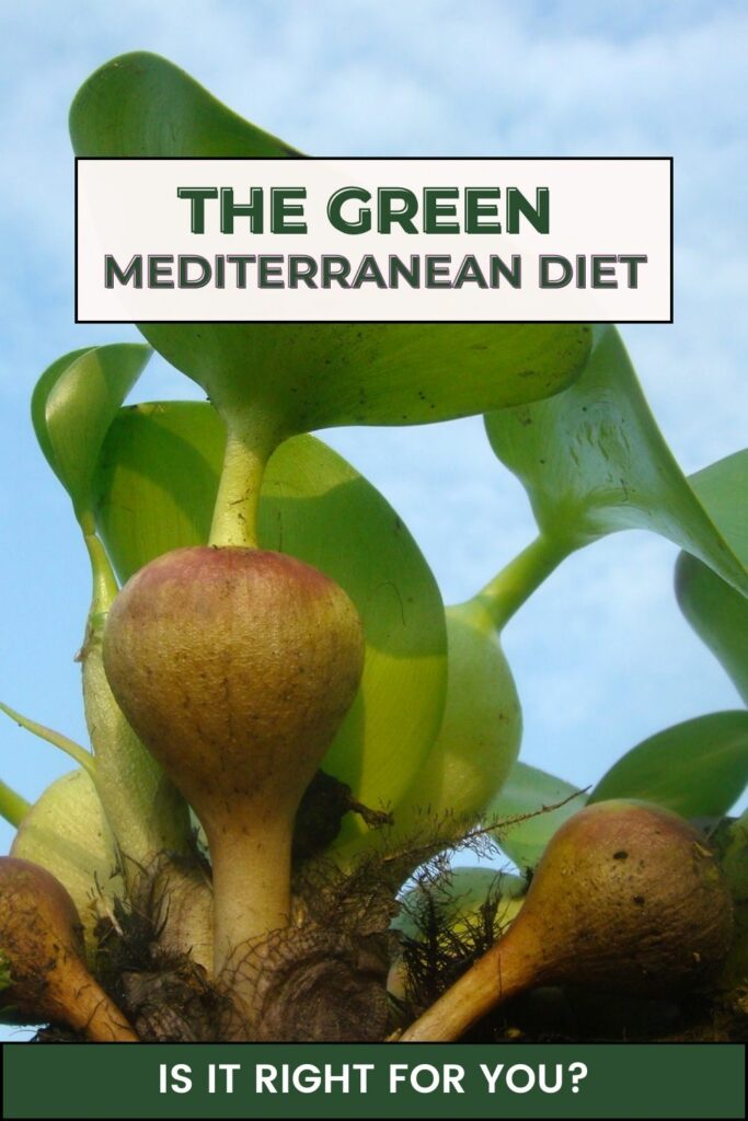 a close up image of a Mankai plant with the text