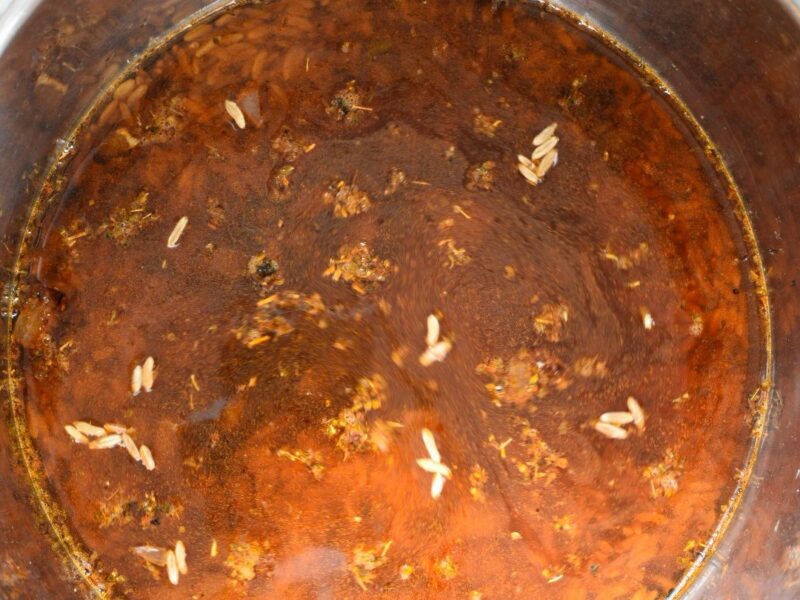 kamut in instant pot The inside of an instant pot with broth